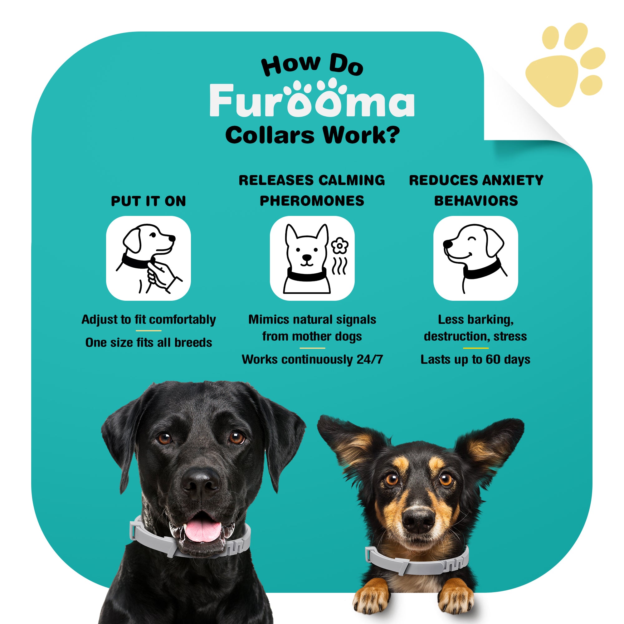 Furoma Dog Calming Collar